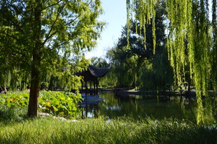 公园风景 