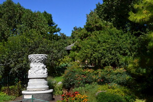 公园风景 