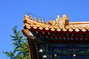 公园风景 