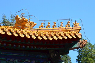 公园风景 