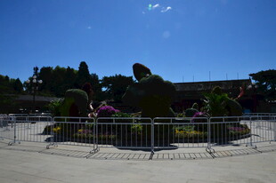 公园风景 