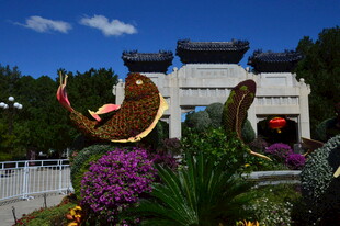 公园风景  