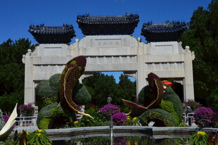 公园风景 
