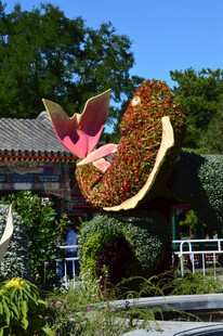 公园风景 
