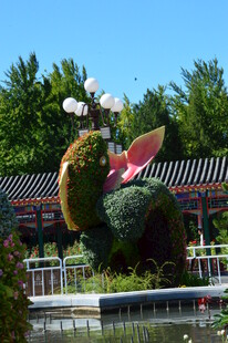 公园风景  