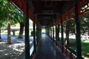 公园风景  