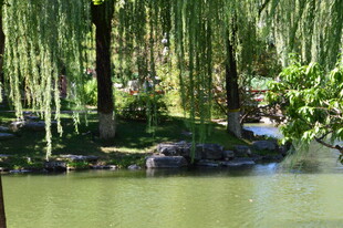 中山公园风景 