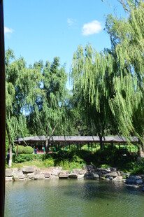 公园风景  