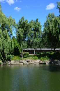 公园风景  