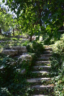 公园风景  