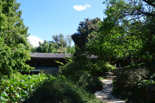 公园风景