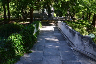 公园风景  