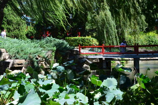 公园风景  