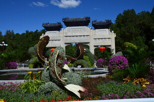 中山公园风景  
