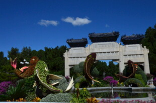 公园风景 
