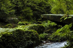 天台山溪流