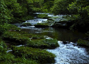天台山溪流