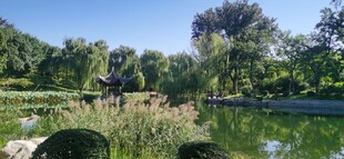 陶然亭风景 