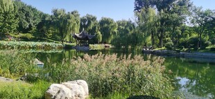 公园风景 