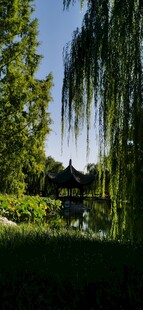 公园风景  