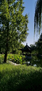 园林风景  