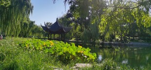 陶然亭风景  
