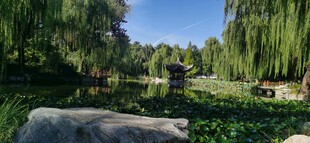公园风景 