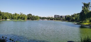  陶然亭风景 