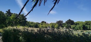 公园风景 