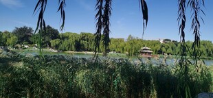 公园风景  