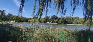 公园风景  