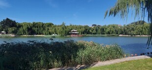 公园风景  