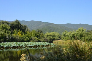 公园风景 