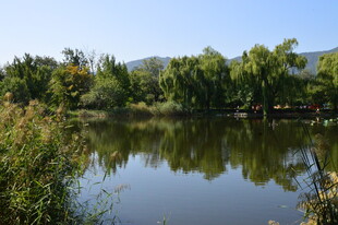 公园风景 