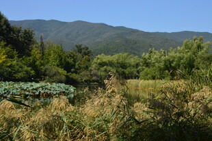 公园风景 
