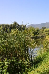 公园风景  