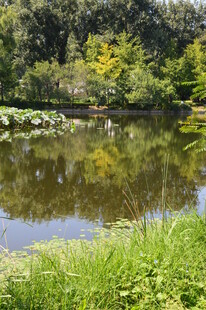 公园风景 