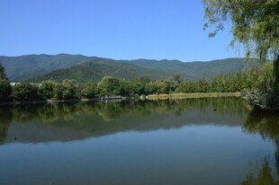 公园风景 植物园风景 山峦  