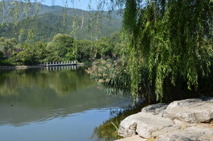 公园风景  