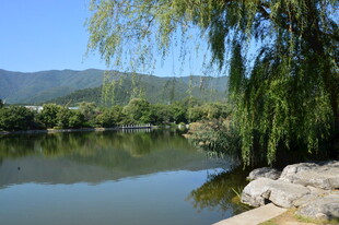 园林风景 