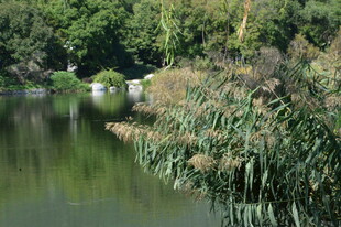 公园风景  