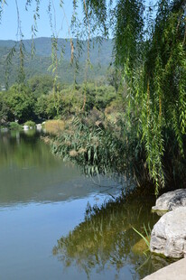 公园风景  