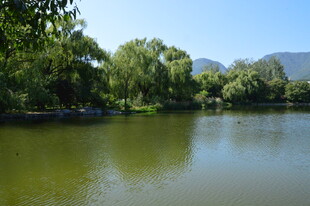 公园风景  
