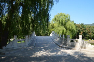 公园风景  