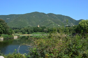 植物园风景  