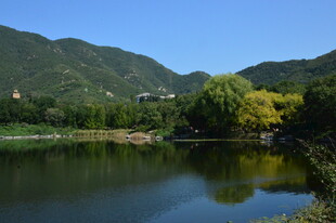 园林风景  