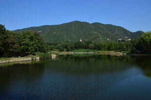 公园风景 