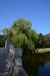 公园风景  