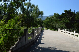 植物园风景  