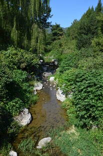 植物园风景  